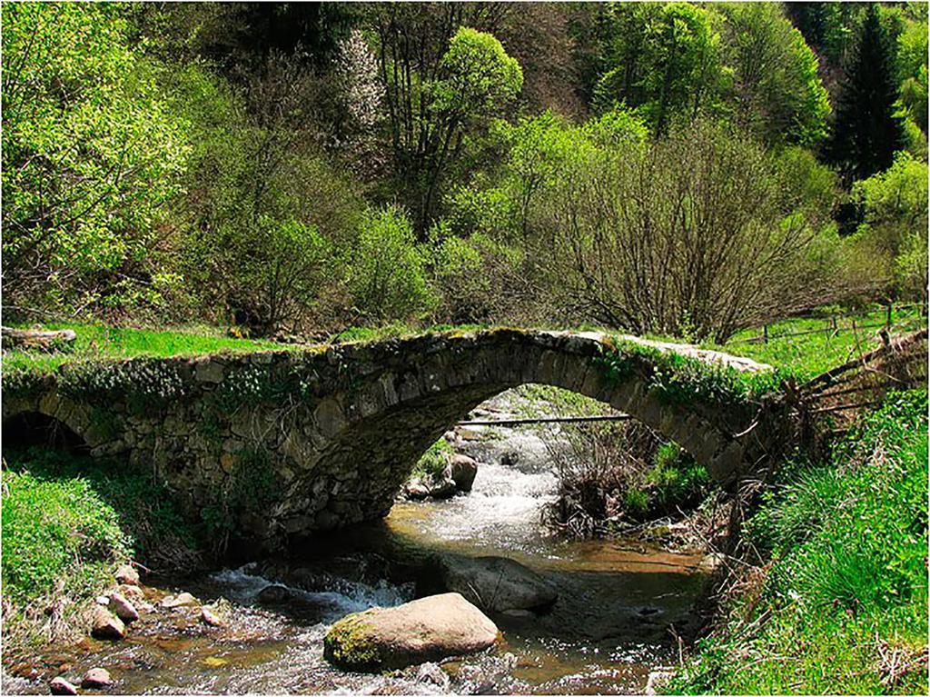 Family Hotel Valchanovata Kashta Fotinovo Kültér fotó